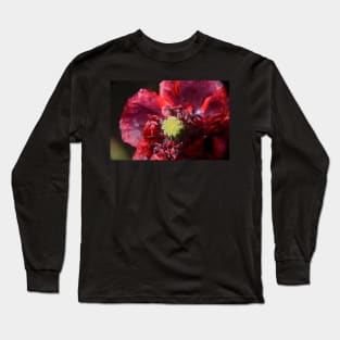 Ephemeral Elegance Long Sleeve T-Shirt